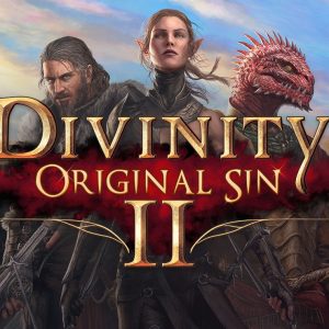 Divinity: Original Sin 2 - Divine Edition EU Steam Altergift