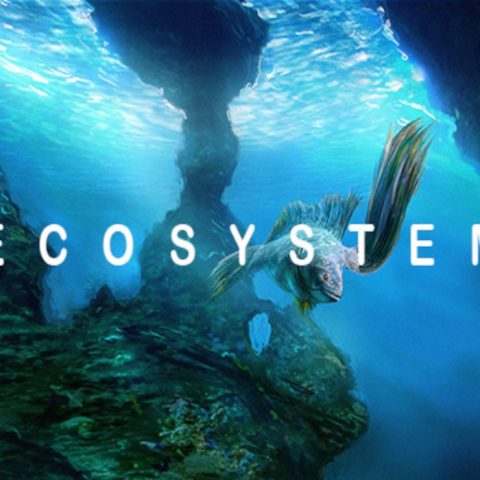 Ecosystem111.jpg