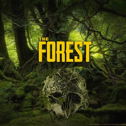 the_forest_1.jpg